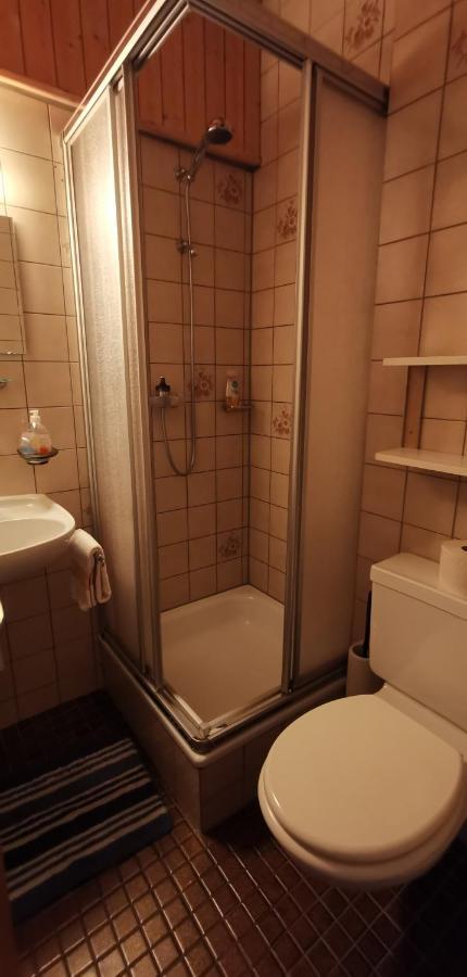 B&B Pension Laerch Obergesteln Buitenkant foto